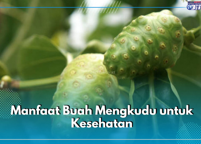 6 Manfaat Buah Mengkudu untuk Kesehatan, Bisa Bantu Kontrol Gula Darah