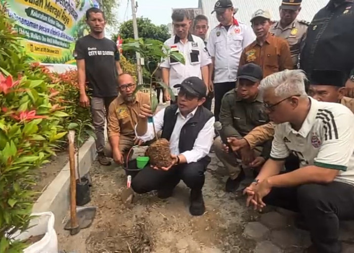 Hijaukan Jalan Merapi, Pemkot Bengkulu Tanam Ratusan Pohon Alpukat dan Serahkan Kotak Sampah