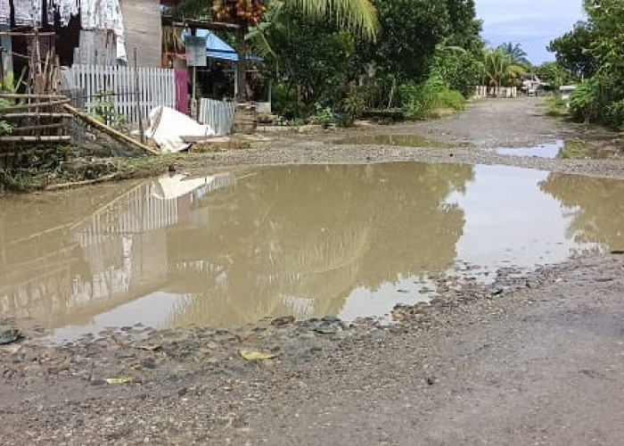 Bupati Sampaikan Usulan Perbaikan Jalan Rusak Milik Provinsi di Kabupaten Seluma