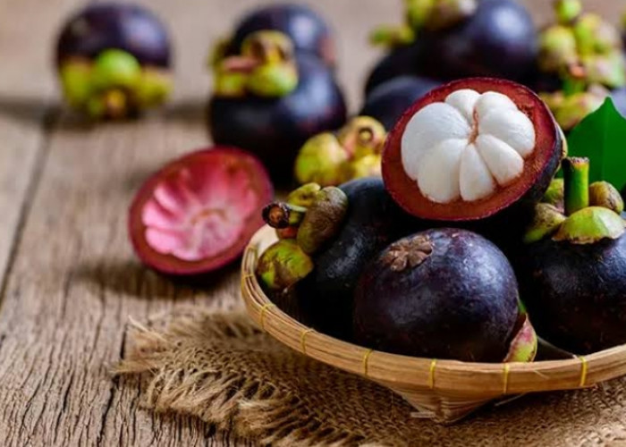 Suka Makan Buah Manggis? Yuk, Cek Manfaatnya untuk Kesehatan Tubuh Anda!