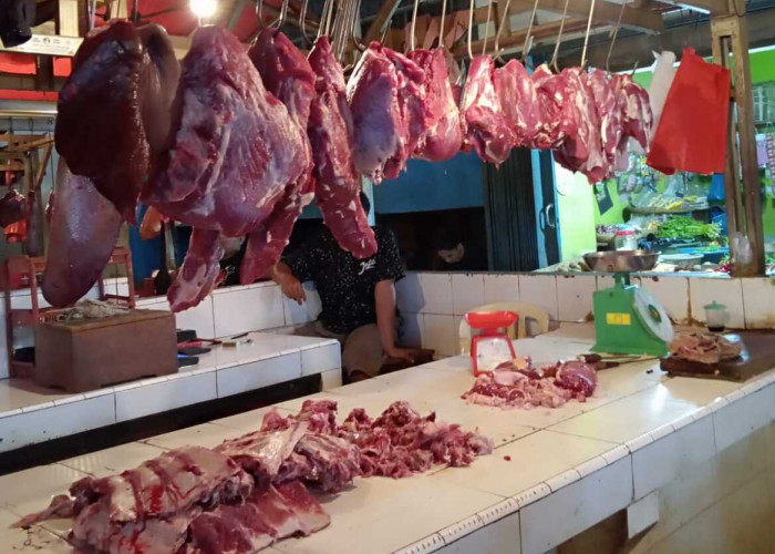 Harga Daging Sapi di Kota Bengkulu Stabil, Minyak Curah dan Beras Terpantau Naik