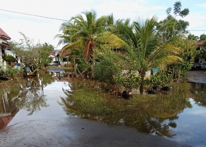 Hujan Deras dari Sore hingga Malam Hari, 2 Kecamatan di Kota Bengkulu Terendam Banjir