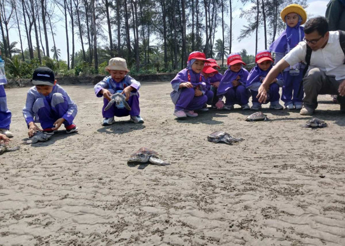 UNIB: Sosialisasi Konservasi Penyu dan Pelepasan Tukik Bersama Kelompok Penangkaran Penyu Alun Utara Benteng 