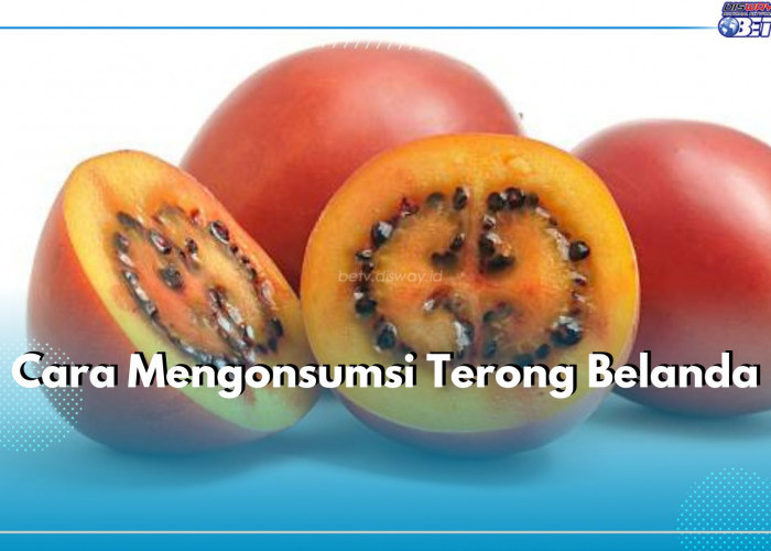 Jangan Bingung, Begini 6 Cara Konsumsi Terong Belanda yang Perlu Kamu Ketahui