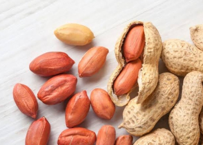 Mengulik Segudang Fakta dan Mitos Kacang Tanah, Benarkah Bikin Jerawatan?