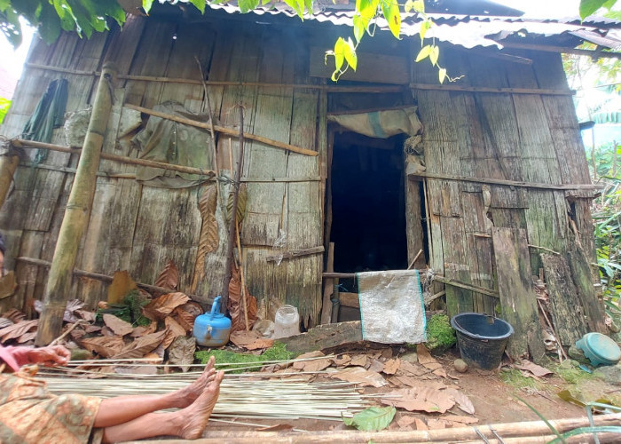 Potret Memprihatinkan Nenek Rina di Bengkulu Tengah, Tinggal di Gubuk yang Nyaris Roboh