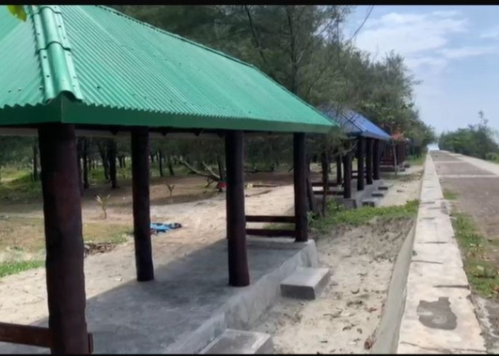 Pemkot Bengkulu Sediakan 30 Gazebo Gratis di Pantai Panjang untuk Wisatawan