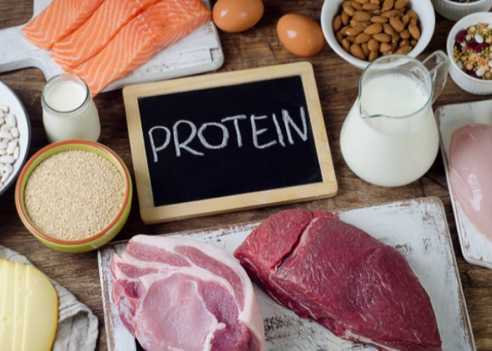 Taukah Kamu? Ada 5 Fungsi Protein untuk Tubuh, Cek Sekarang!