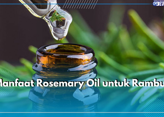 Apa Sih Manfaat Rosemary Oil untuk Rambut? Simak Jawabannya di Sini