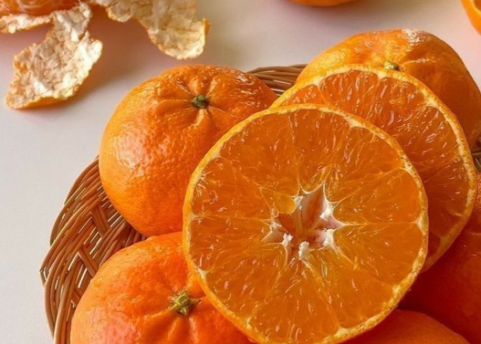 Bisa Membantu Meningkatkan Imunitas Tubuh, Cek Rekomendasi Makanan di Sini
