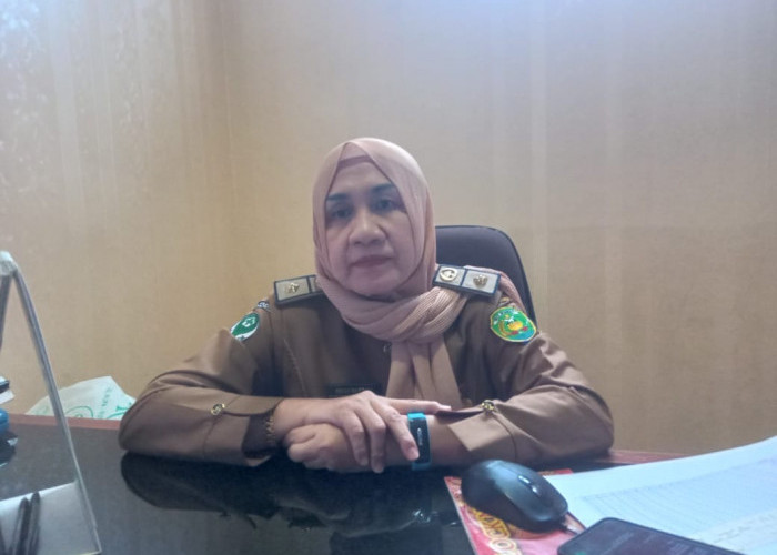 Angka Kematian Ibu dan Bayi di Kota Bengkulu Meningkat Selama 2024