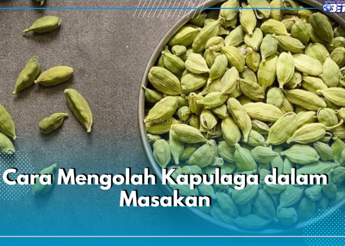 Gampang Banget! Begini Cara Olah Kapulaga Dalam Masakan, Bisa Dibuat Masala