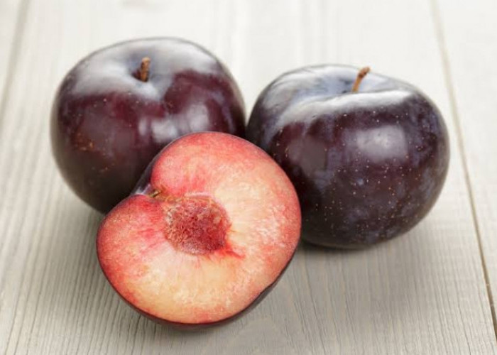 Wajib Tahu! Berikut Daftar Kelompok Orang yang pantang Makan Buah Plum, Siapa Saja?