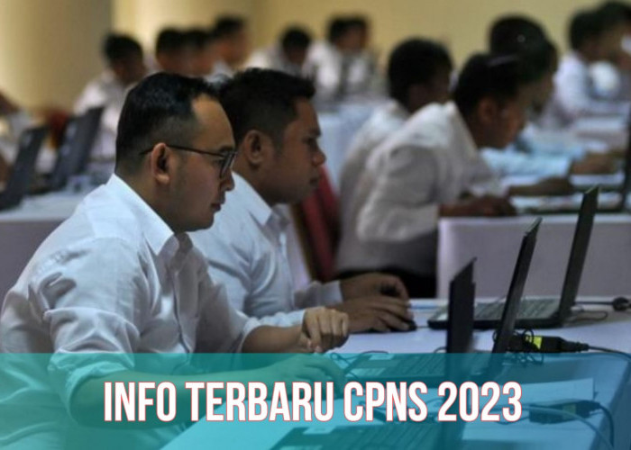 UPDATE! Formasi CPNS 2023 Telah Ditetapkan, Peluang Makin Sedikit, Cek Info Terbarunya!