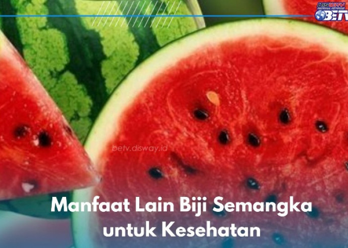 Manfaat Lain Biji Semangka yang Jarang Diketahui, Ampuh Mendukung Kekebalan Tubuh