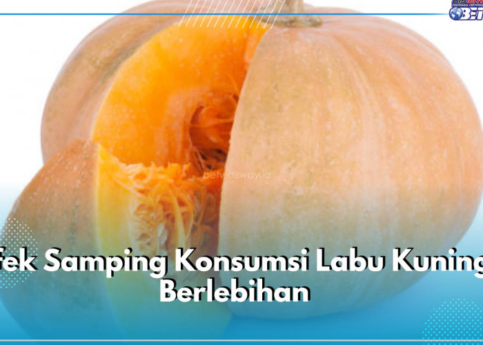 Catat! Ini 5 Efek Samping Makan Labu Kuning Berlebihan, Bisa Sebabkan Masalah Pencernaan