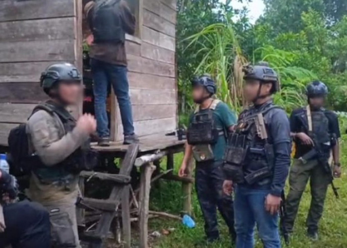 8 Terduga Jaringan KKB Yahukimo Pimpinan Ronal Heluka Ditangkap