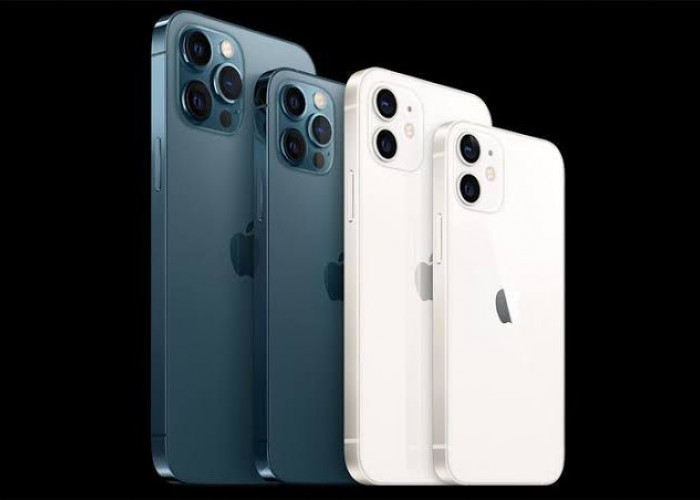 Mengulik Perbandingan antara iPhone 12 dan 12 Pro dari Spesifikasi hingga Harga Terbaru Maret 2024, Yuk Intip 