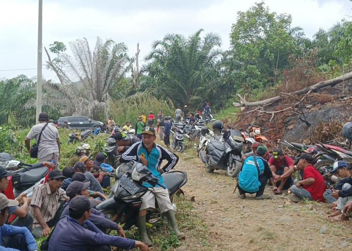 Masyarakat Urai Bengkulu Utara Akan Kembali Garap Lahan PTPN VII, untuk Bercocok Tanam