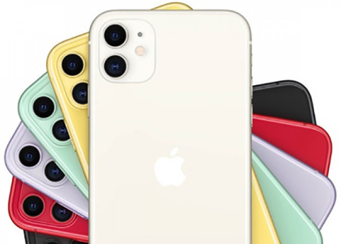 Bisa Jadi Bahan Pertimbangan, Ketahui 5 kelebihan dan Kekurangan iPhone 11 Sebelum Membeli