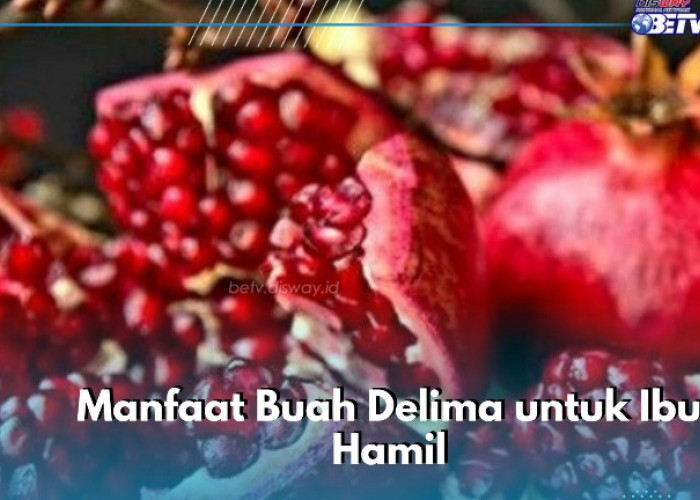 Buah Delima Baik bagi Nutrisi Ibu Hamil, Mampu Mencegah Risiko Anemia, Cek Manfaat Lainnya di Sini