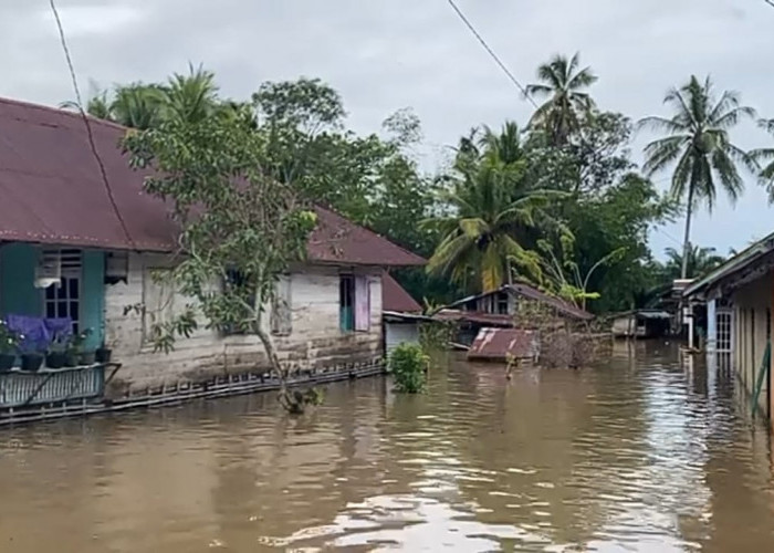 Curah Hujan Masih Tinggi, BPBD Kota Bengkulu Imbau Warga Waspada Bencana Hidrometeorologi