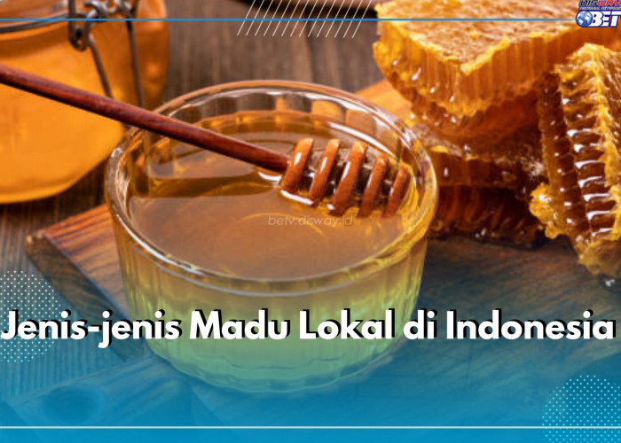 Ini Dia 7 Jenis Madu Lokal Terbaik di Indonesia, Ampuh Mengobati Beragam Penyakit