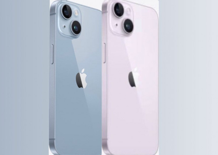 Harga iPhone 14 Series di iBox Naik hingga Rp500.000 Hari Ini Jumat 12 Januari 2024, Berikut Daftarnya