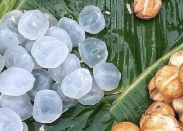 Stop Konsumsi Buah Lontar Secara Berlebihan, Bikin Gagal Diet