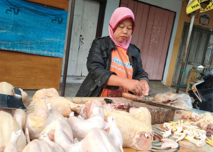 Warga Seluma Keluhkan Harga Ayam yang Tak Kunjung Turun Sepekan Setelah Idulfitri