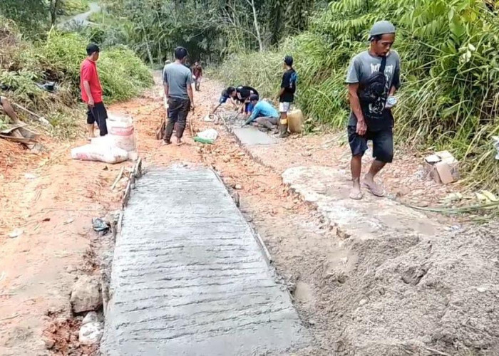 Tanpa Bantuan Pemerintah, Warga Desa Lubuk Terentang Gotong Royong Bangun Jalan Penghubung Kabupaten