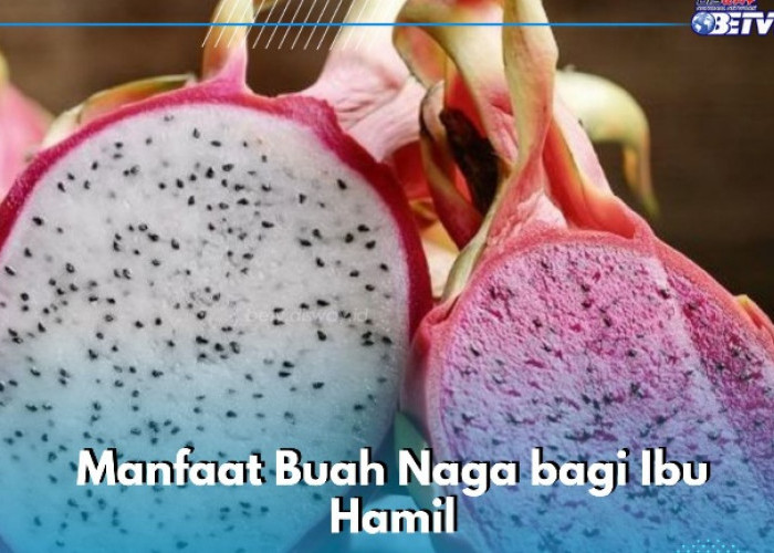 Ibu Hamil Dapat Konsumsi Buah Naga, Ini Sederet Manfaat yang Diperolah