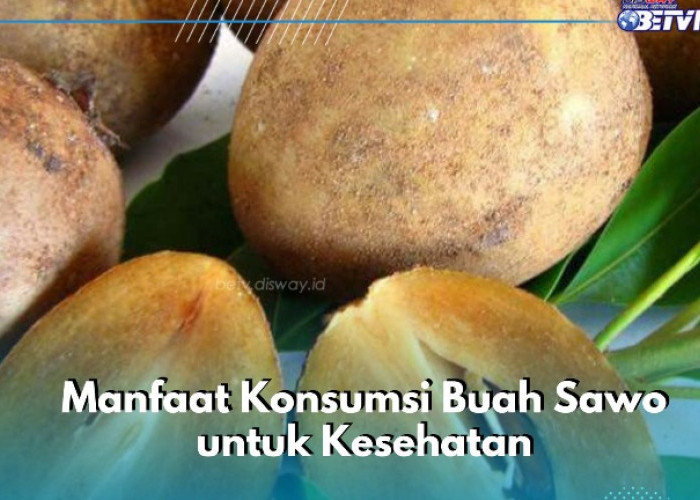 Cek Manfaat Rincinya di Sini, Buah Sawo Dipercaya Dapat Meningkatkan Kekebalan Tubuh