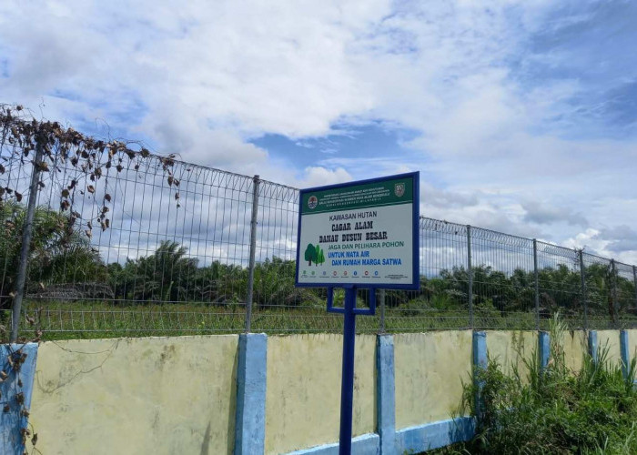 BKSDA Bengkulu Warning Perambah Cagar Alam Danau Dusun Besar  