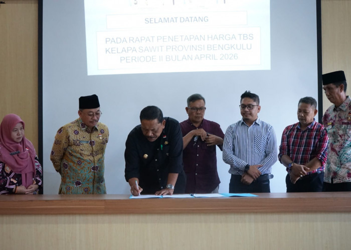 Harga TBS Bengkulu Ditetapkan Rp3.463 Per Kilogram, Wagub Mian: PKS Wajib Patuh!