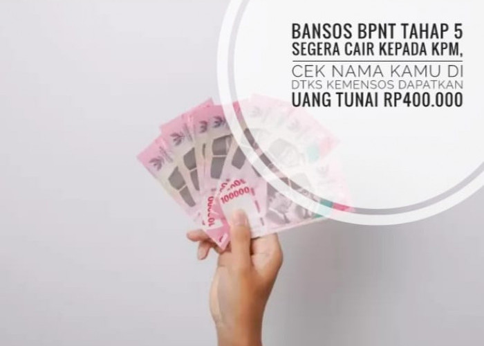 Bansos BPNT Tahap 5 Segera Cair Kepada KPM, Cek Namu Kamu di DTKS Kemensos, Dapatkan Uang Tunai Rp400.000