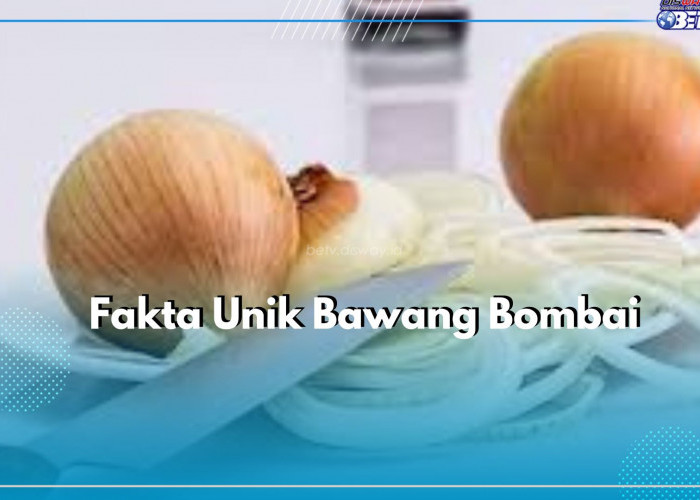 Wajib Tahu Nih! Klaim Fakta Unik dari Bawang Bombai, Salah Satunya Berasal dari Asia Tengah
