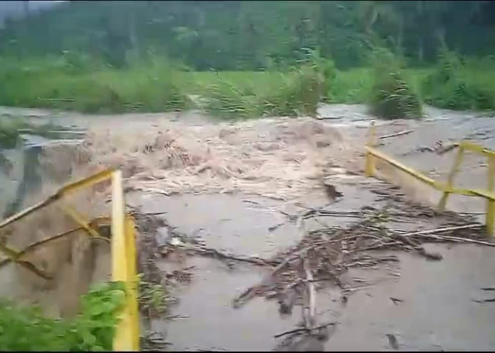 BREAKING NEWS: Sungai Rindu Hati Meluap Terjang Jembatan Surau 