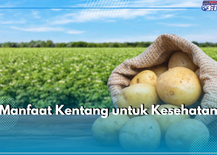 Ini 5 Manfaat Kentang untuk Kesehatan, Tambah Energi hingga Cegah Kerusakan Sel Tubuh