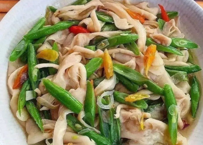 Cek di Sini! Rekomendasi Masakan Olahan Jamur Enak, Bisa Jadi Menu Rumahan Sehari-hari