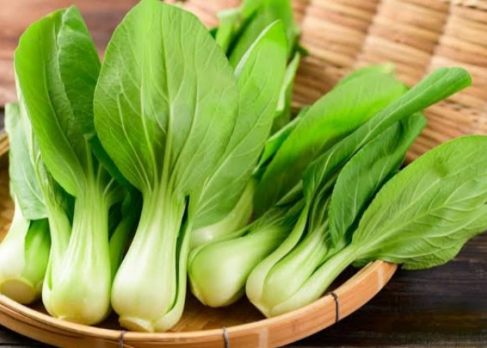 Konsumsi Sayur Pakcoy Baik untuk Merawat Kecantikan Kulit, Cek Manfaatnya!