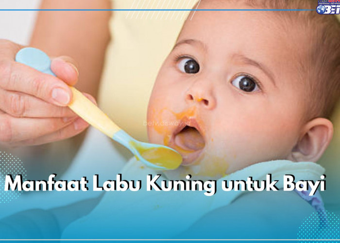 Sering Jadi Pilihan untuk MPASI, Ternyata Ini Manfaat Labu Kuning untuk Bayi, Bisa Dukung Perkembangan Tulang