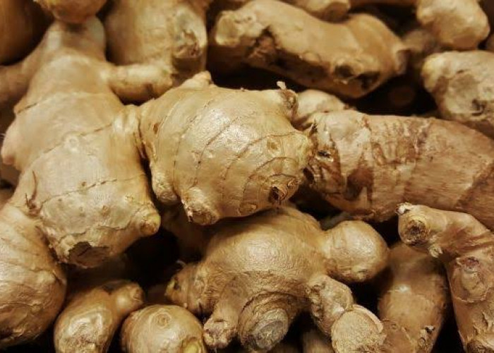 Jahe Putih Punya Senyawa Alami yang Bermanfaat untuk Mengatasi Masalah Kulit, Apa Saja? Intip di Sini!
