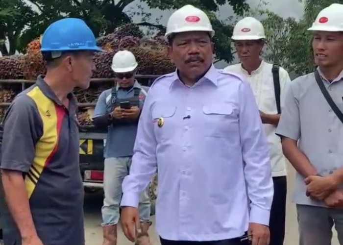 Harga TBS Turun Pasca Idulfitri, Wagub Mian Gerak Cepat Sidak Pabrik Sawit