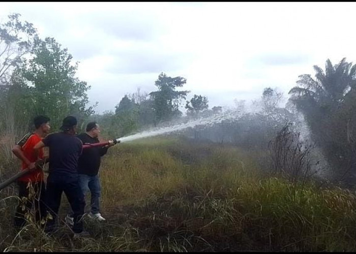 Kebakaran Lahan di Seluma, Wakil Bupati Bantu Damkar Padamkan Api