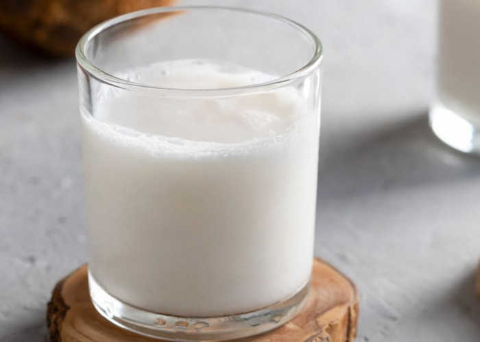 Cocok untuk Cuaca Panas, Ini Minuman Segar Olahan dari Buah Kelapa