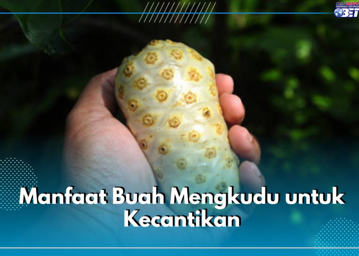 Jangan Lewatkan 6 Manfaat Buah Mengkudu Ini untuk Kecantikan, Ampuh Halau Penuaan Dini