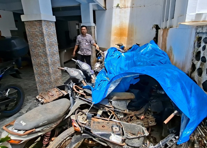 Pemkab Seluma Lelang Kendis dan Barang Inventaris Kantor, Cek Informasi dan Caranya di Sini