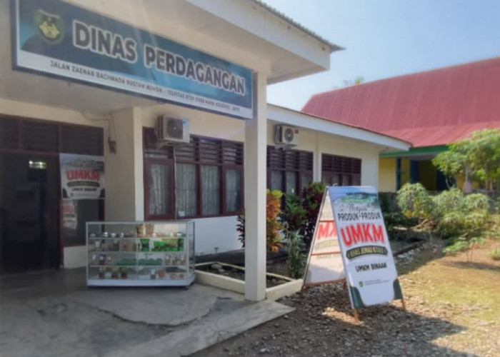Keterbatasan APBD, 4 Pasar di Bengkulu Selatan Diusulkan Dapat Rehabilitasi dari Kemendag