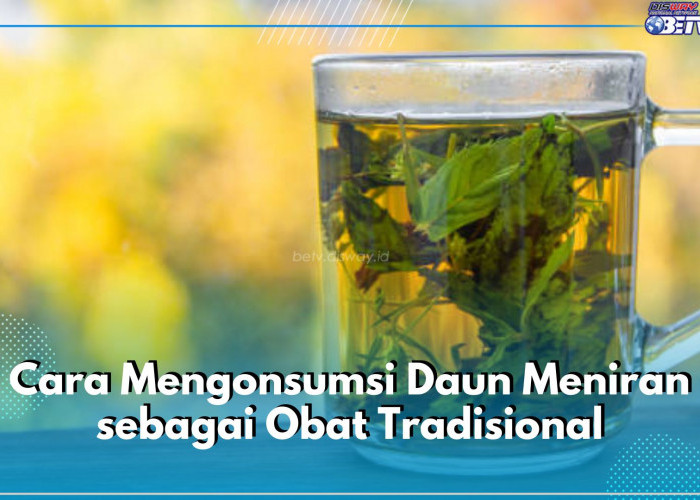 Ingin Konsumsi Daun Meniran sebagai Obat Tradisional? Ini 6 Cara Konsumsinya, Bisa Jadi Infused Water